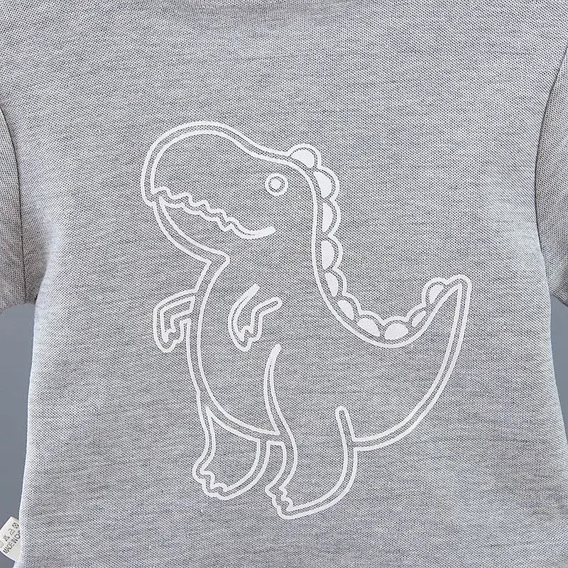 Dinosaurie Piké-Set