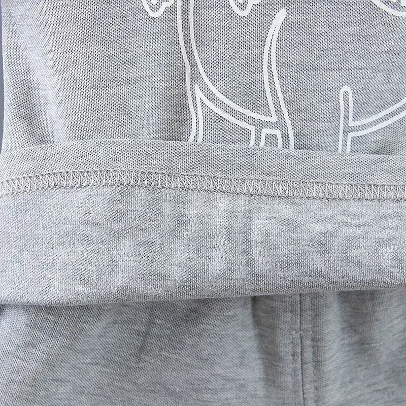 Dinosaurie Piké-Set